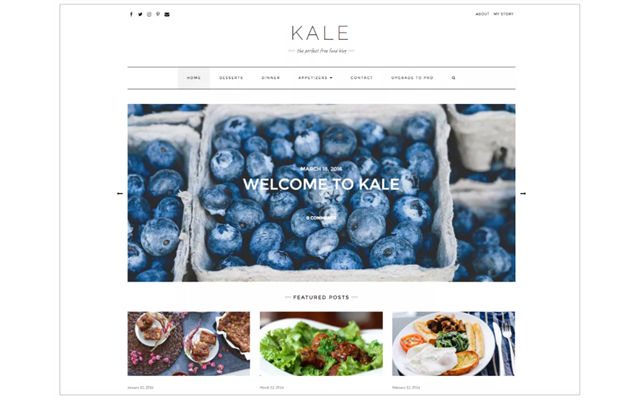 Theme WordPress: Kale