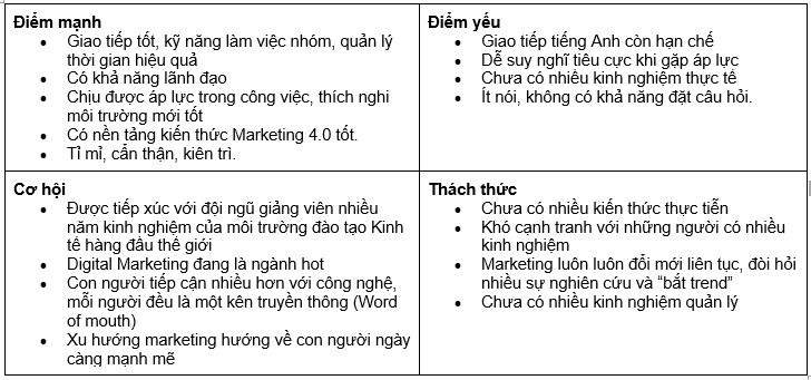 Phân tích SWOT dành cho kinh doanh  Trần Văn Hải